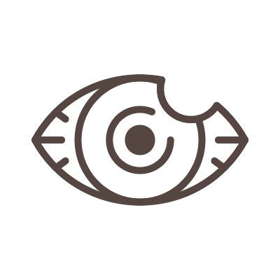 結膜炎・アレルギー・ものもらい