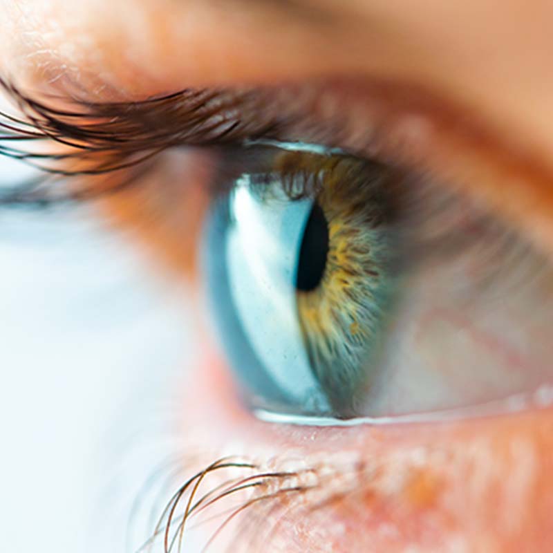 網膜・硝子体疾患